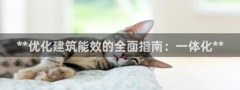 e尊国际官方网站：**优化建筑能效的全面指南：一体化**
