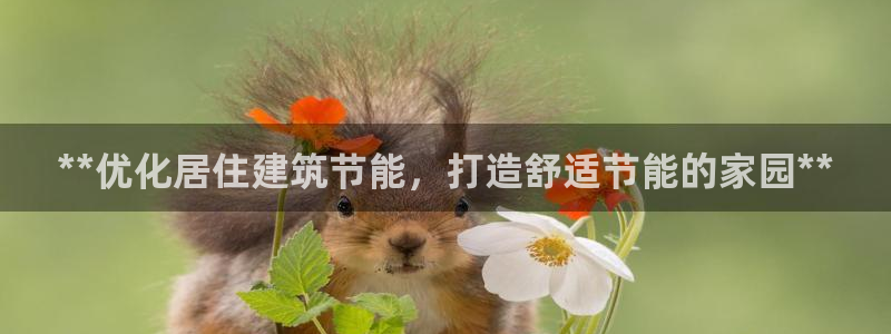e尊国际客户端下载：**优化居住建筑节能，打造舒适节能的家园**