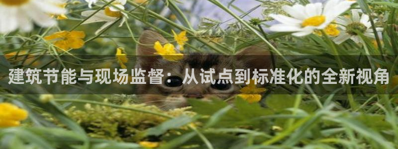 E尊国际：建筑节能与现场监督：从试点到标准化的全新视角