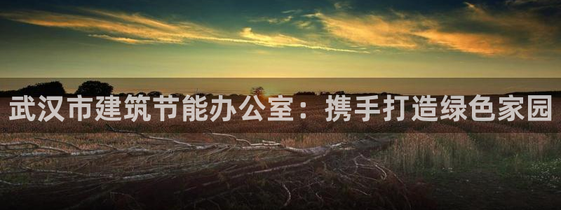 e尊国际的手机登录网站：武汉市建筑节能办公室：携手打造绿色家园