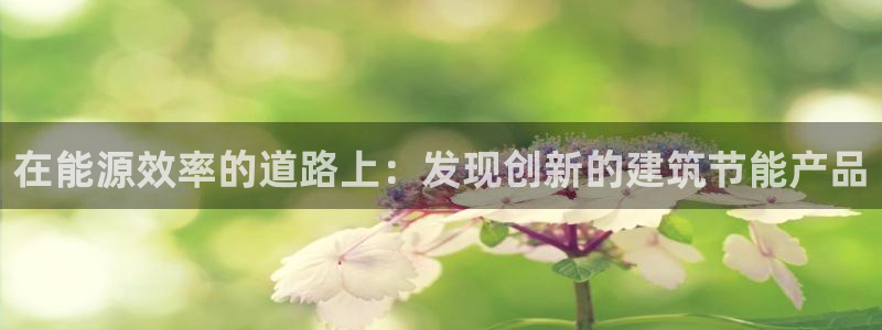e尊国际娱乐官网下载：在能源效率的道路上：发现创新的建筑节能产品