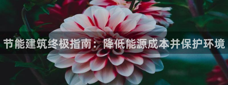 E尊国际：节能建筑终极指南：降低能源成本并保护环境