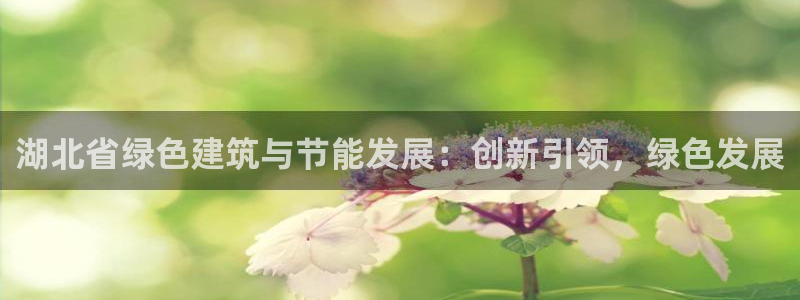 e尊国际app：湖北省绿色建筑与节能发展：创新引领，绿色发展