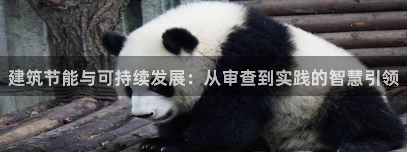 e尊体育：建筑节能与可持续发展：从审查到实践的智慧引领