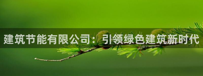 e尊国际娱乐官网地址：建筑节能有限公司：引领绿色建筑新时代