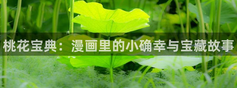 海贼王全集樱花漫画