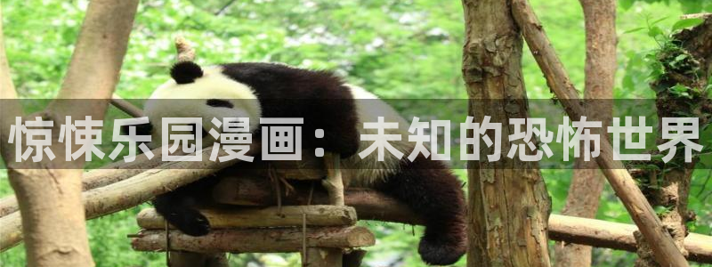 樱花漫画下载app免费版下载